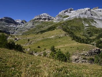 Allmendweide Valle de Aisa
